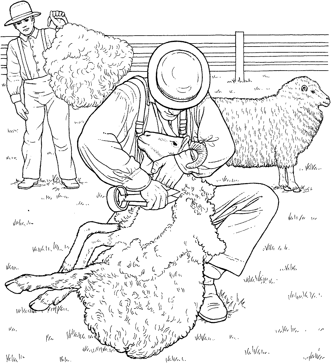 Раскраска пастух и овцы