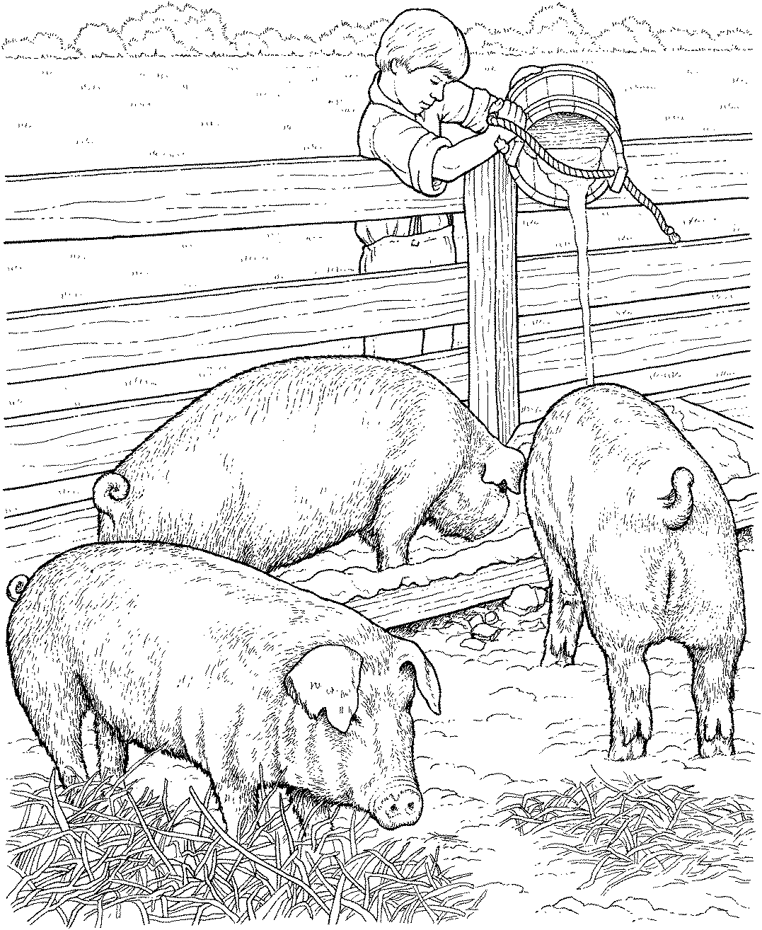 Животноводческая ферма рисунок