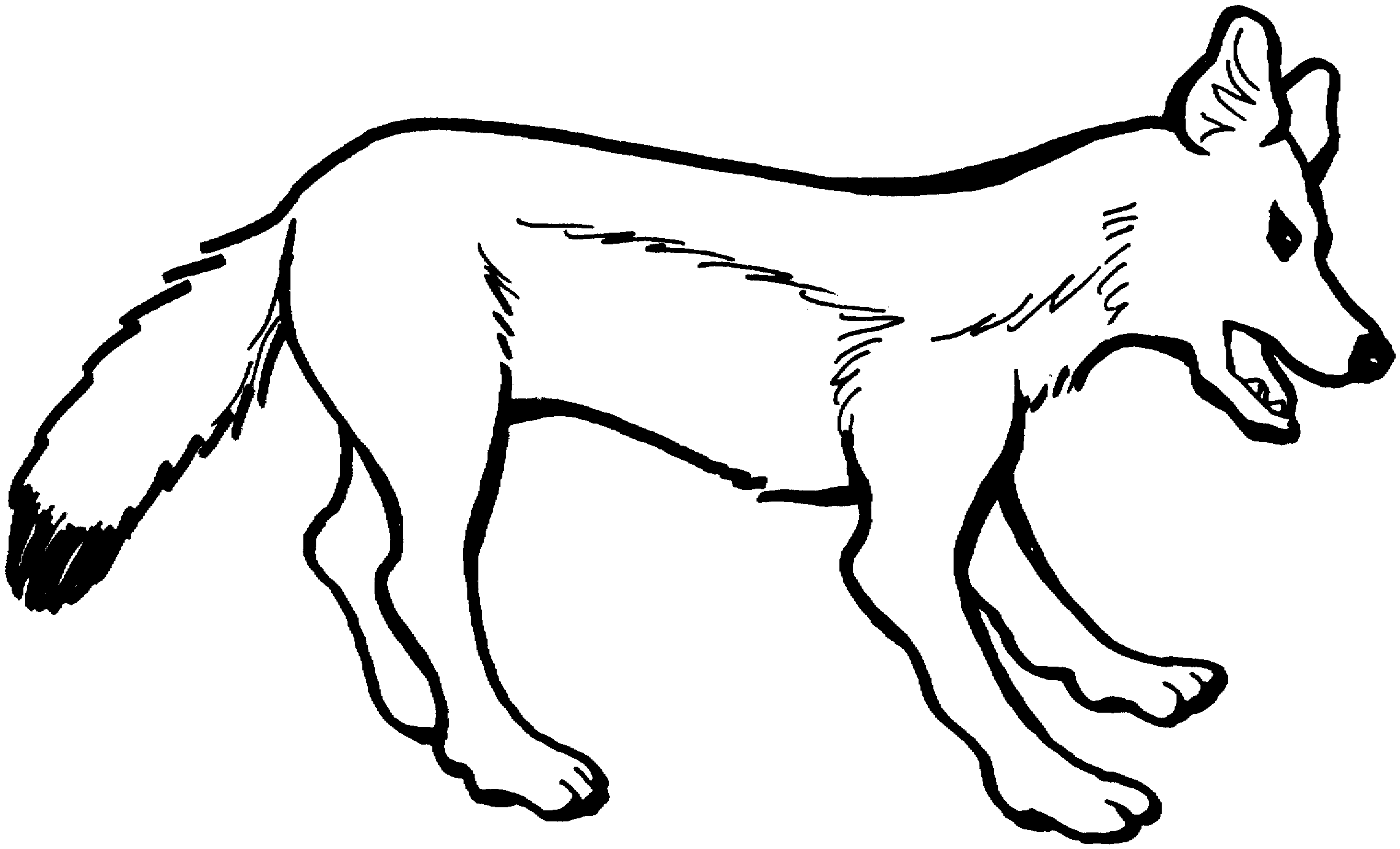Обыкновенная лисица раскраска