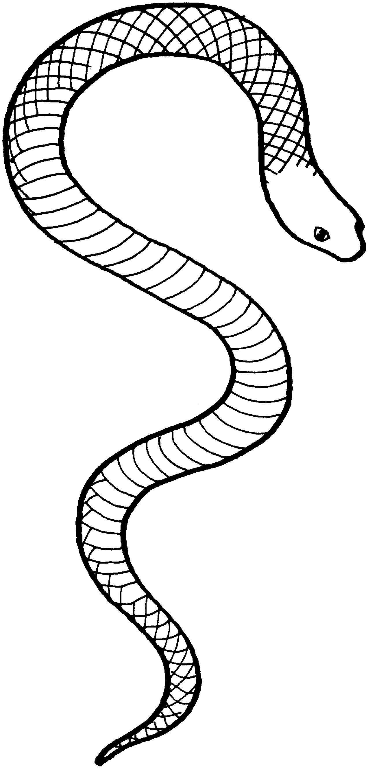 Трафарет ползучая змея