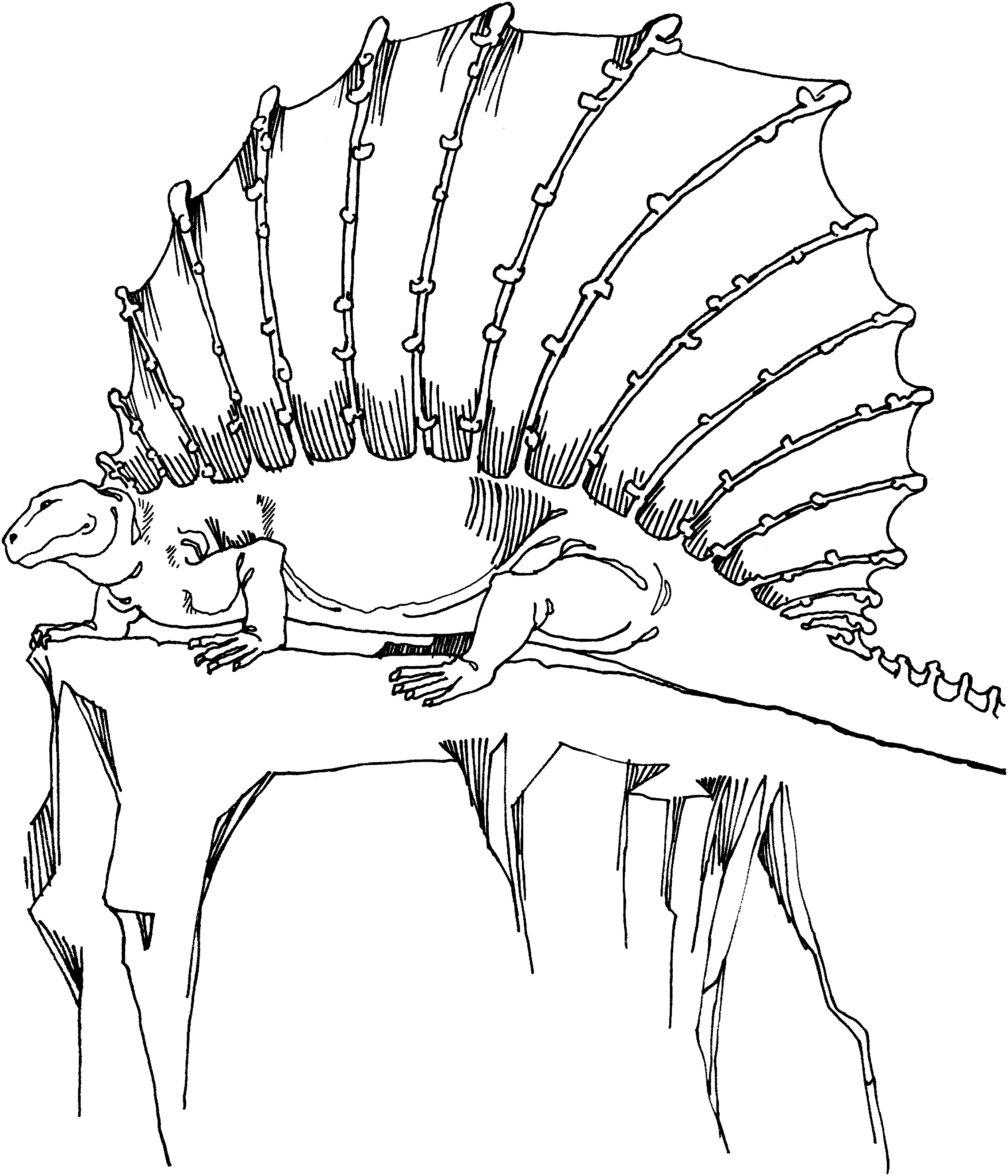 Эдафозавр раскраска
