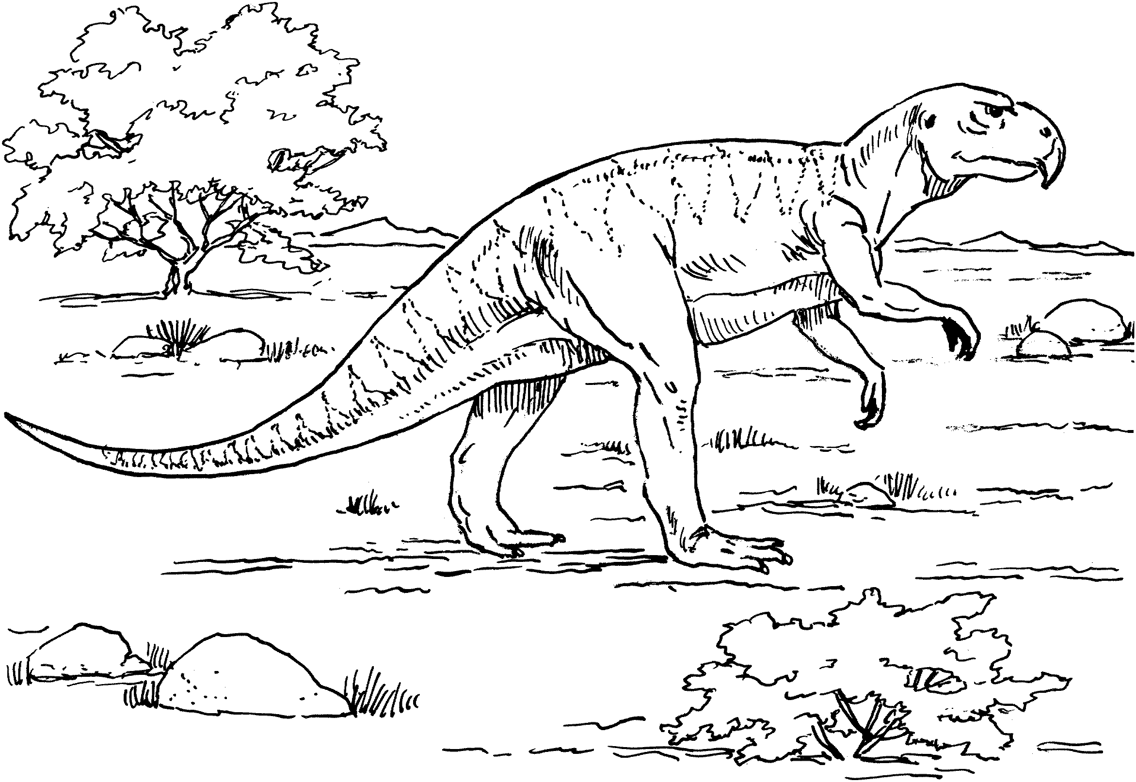 Раскраска динозавры природа хищники