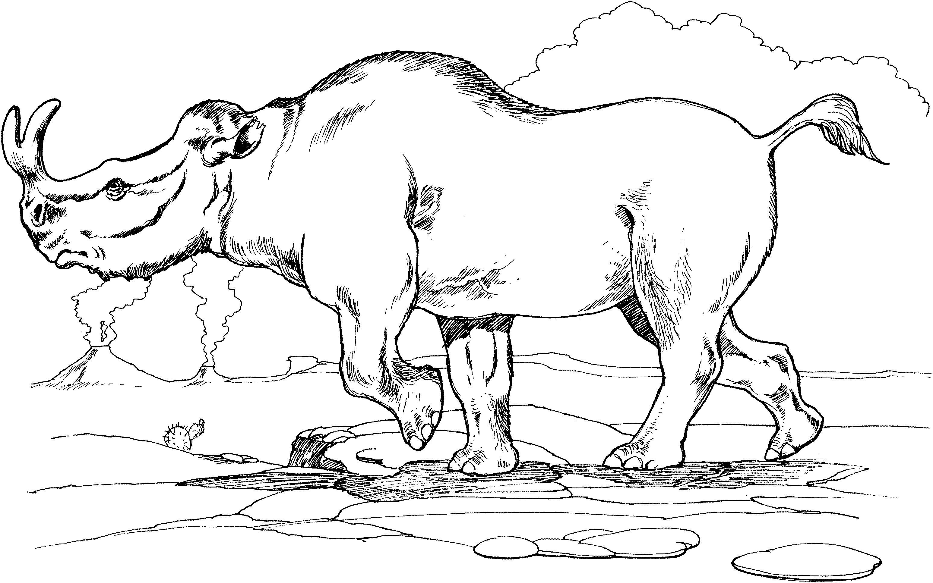 Раскраска древние животные