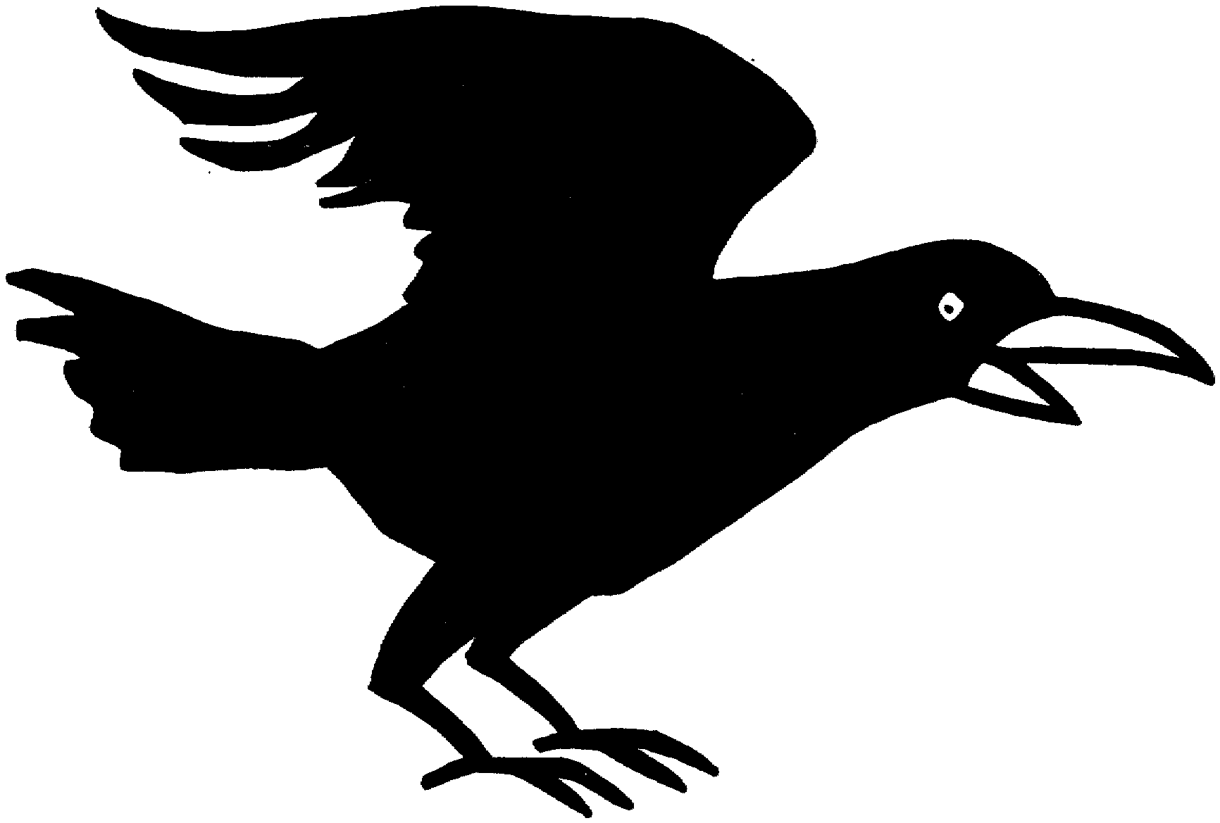 Картинка ворона крупным планом